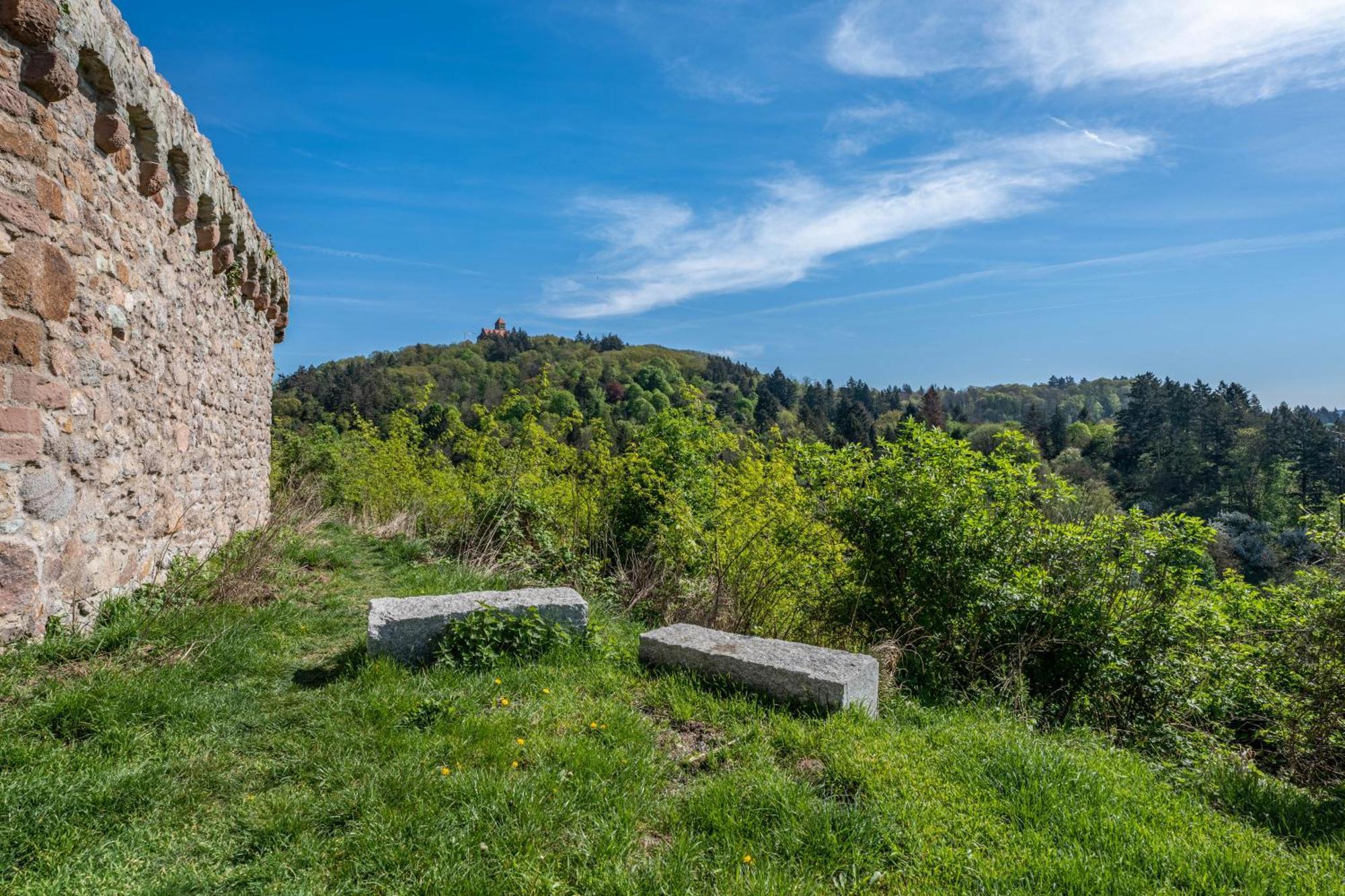 Ferienwohnung Drachenstein Weinheim Esterno foto