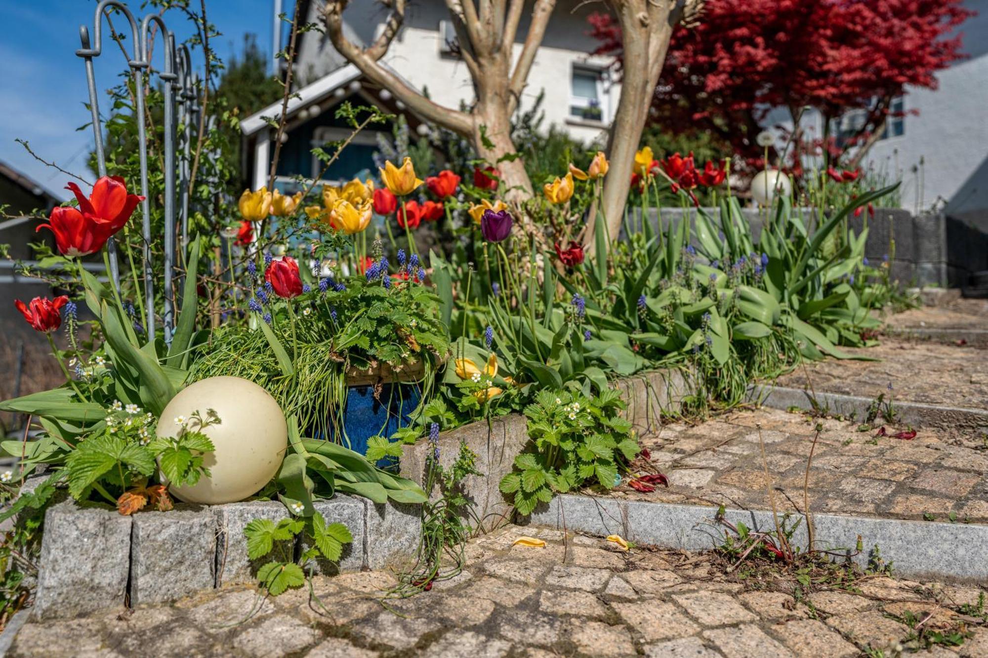 Ferienwohnung Drachenstein Weinheim Esterno foto